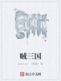 贼三国结局