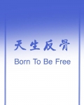 足球绿茵场魔术师小说