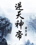 逆天神帝女主有几个