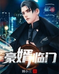 豪婿临门