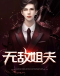 无敌姐夫秦叶轩免费阅读下载安装