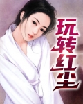 玩转红尘小说