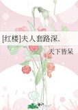 [红楼]夫人套路深.